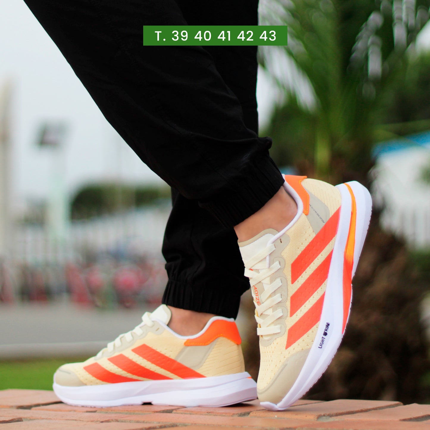 Zapatillas Urban Flash Pro