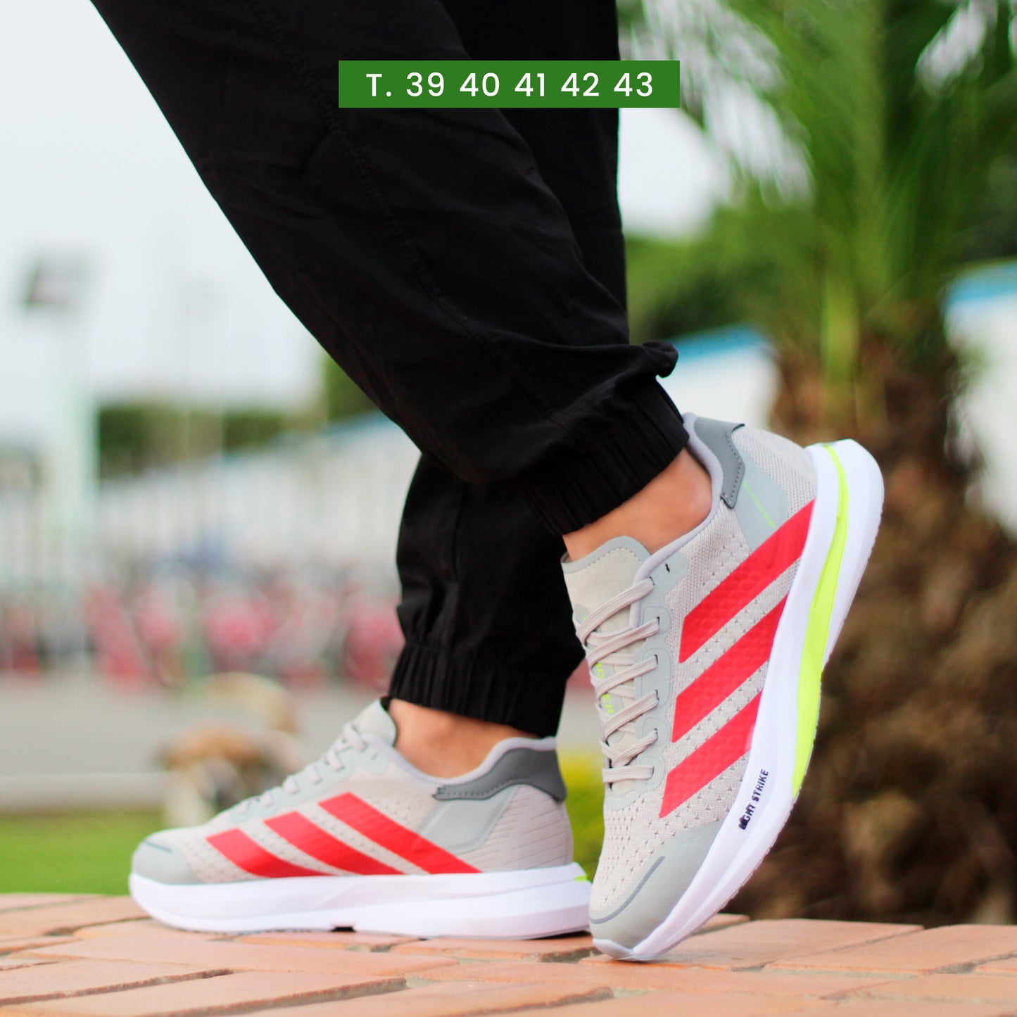 Zapatillas Urban Flash Pro
